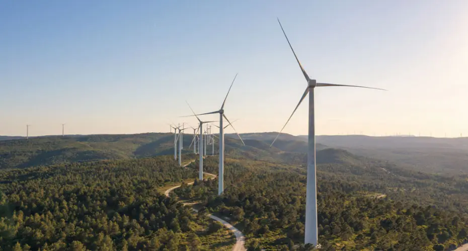 Wind farm