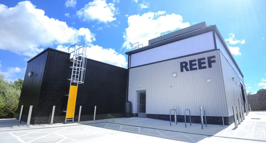 REEF building