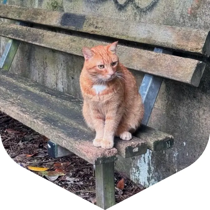 Nelson on bench