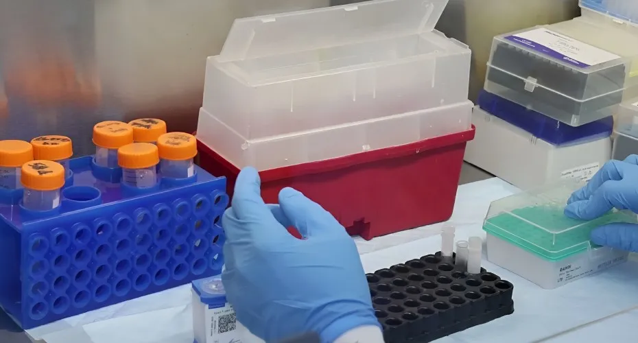 A person wearing blue gloves is conducting experiments in a laboratory setting.