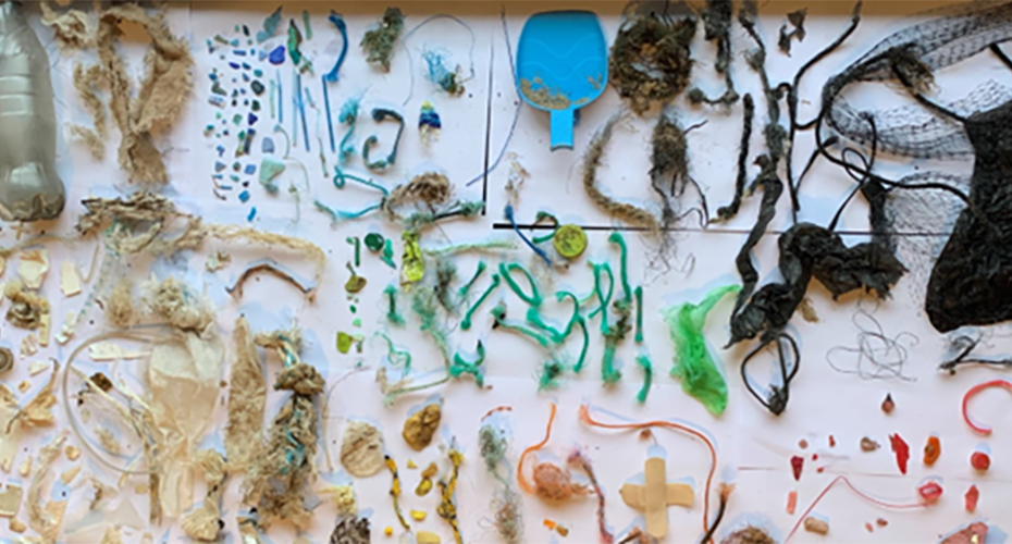 Plastic pollutants from the sea