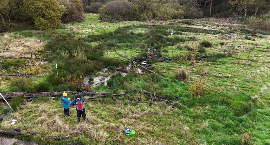 Scientists working in a river valley