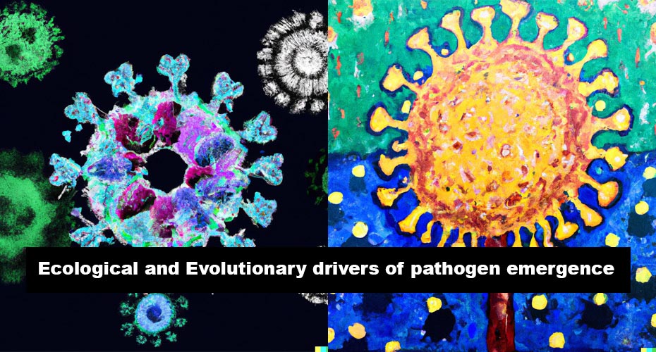 Image showing close up of cells