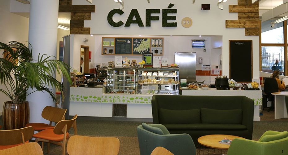 Cafe in the ESI buiding