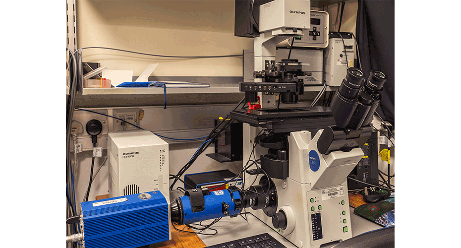 TIRF Olympus-XI microscope