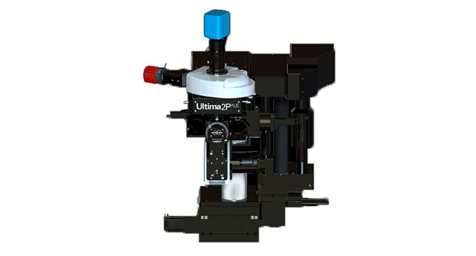 Ultima 2P+ Two-Photon microscope