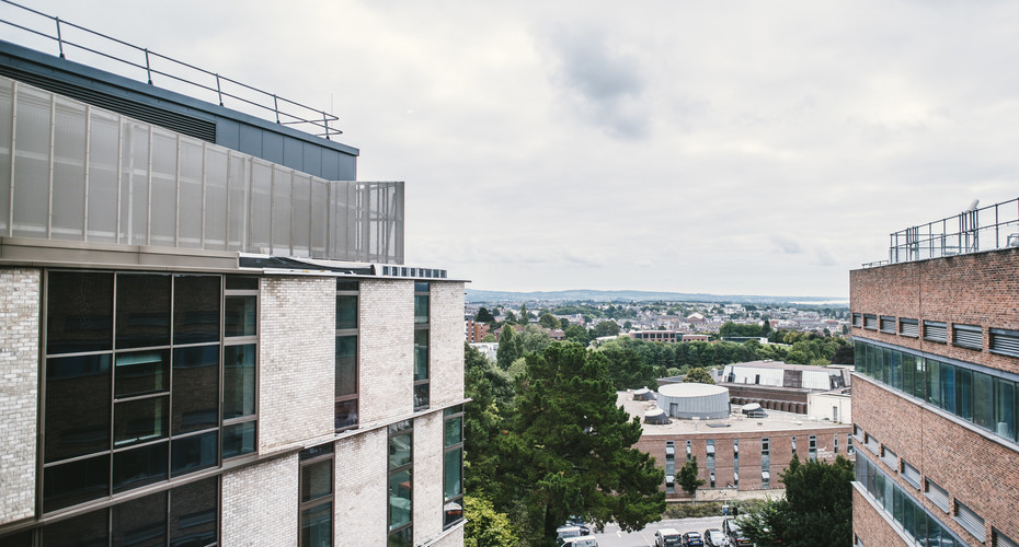 View from LSI rooftop