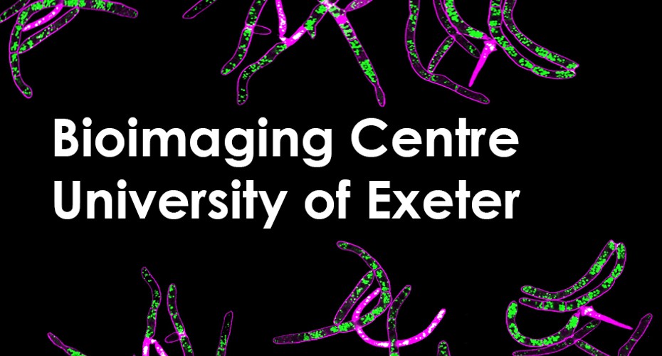 Bioimaging Centre