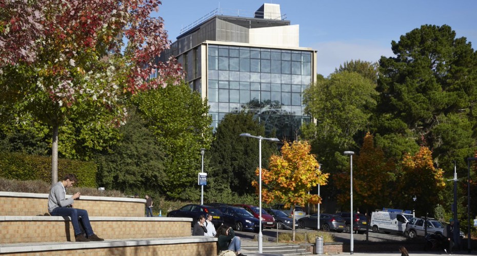 LSI building with trees