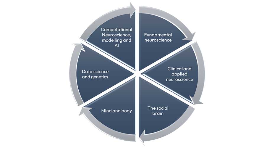 Image showing themes of Fundamental neuroscience  Clinical and applied neuroscience The social brain Mind and body Data science and genetics Computational Neuroscience, modelling and AI
