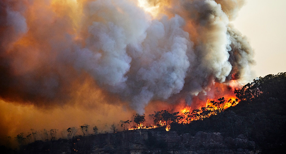 Forest fire, bushfire with flames and sun illuminated smoke clouds at dusk on mountain ridge, Blue Mountains, Australia - stock photo