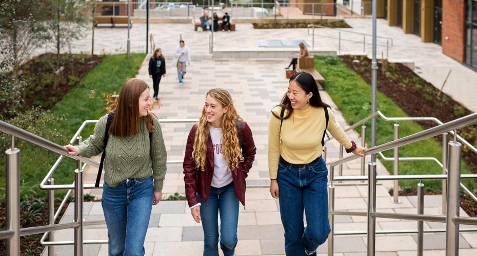friends climbing steps