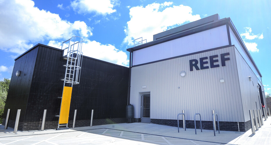 Exterior of REEF building