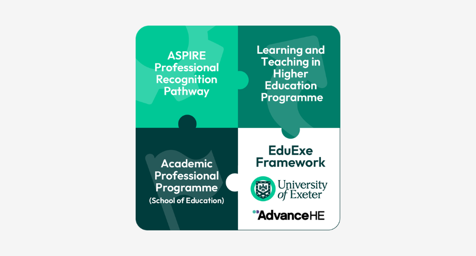 A graphic explaining the EduExe Framework