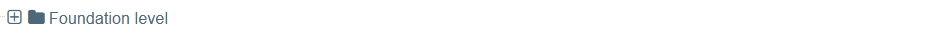 Screenshot of T4 visible folder icon