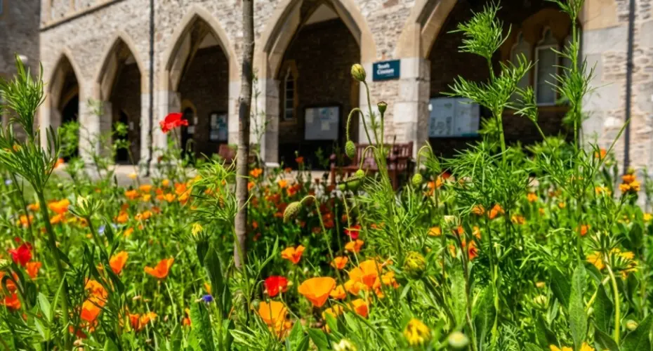 St Lukes arches