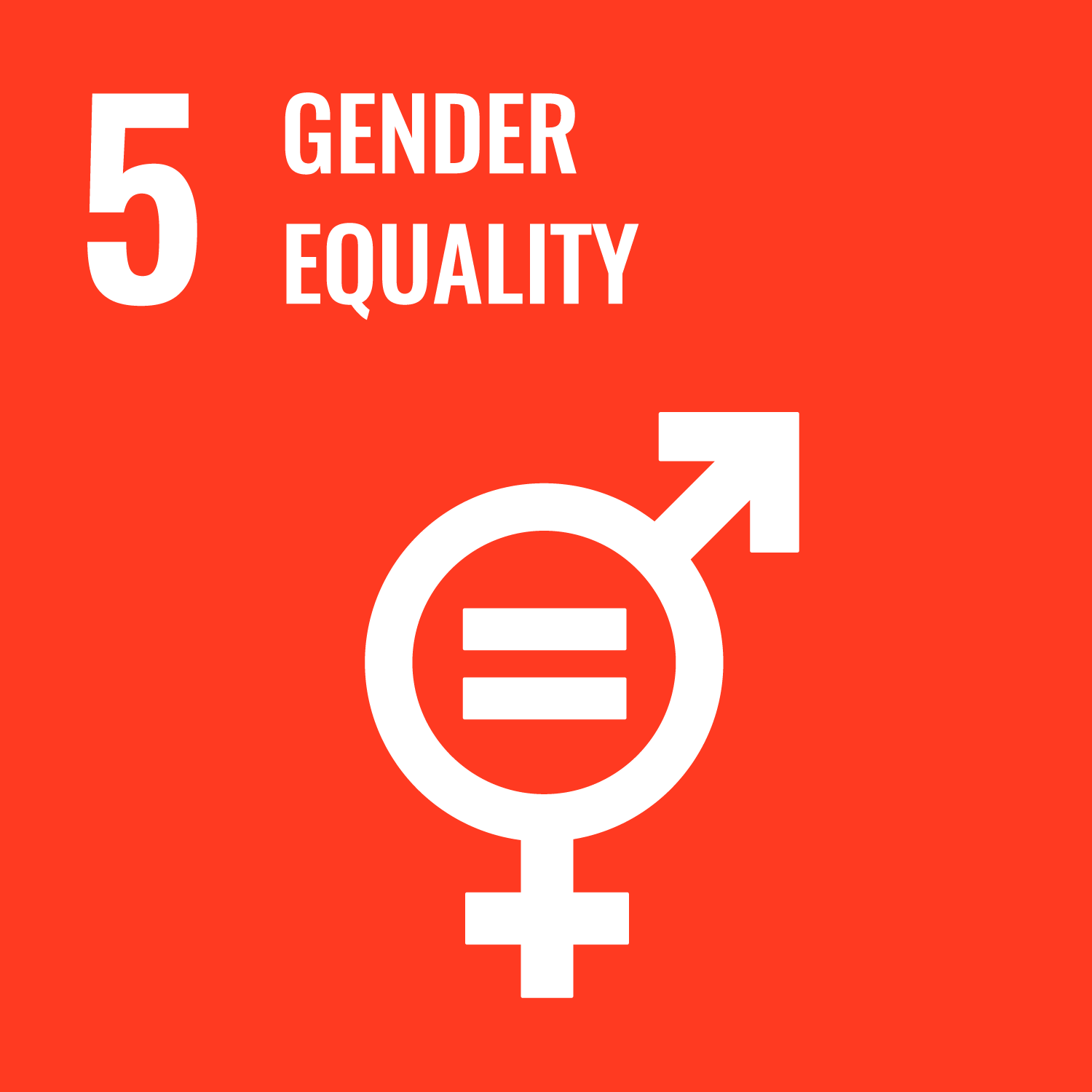 United Nations Sustainable Development Goals Number 5 image