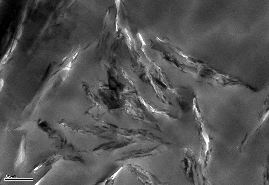 SEM image of Graphene-PEEK structure