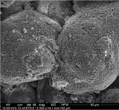 Nylon ZIF-67 structure