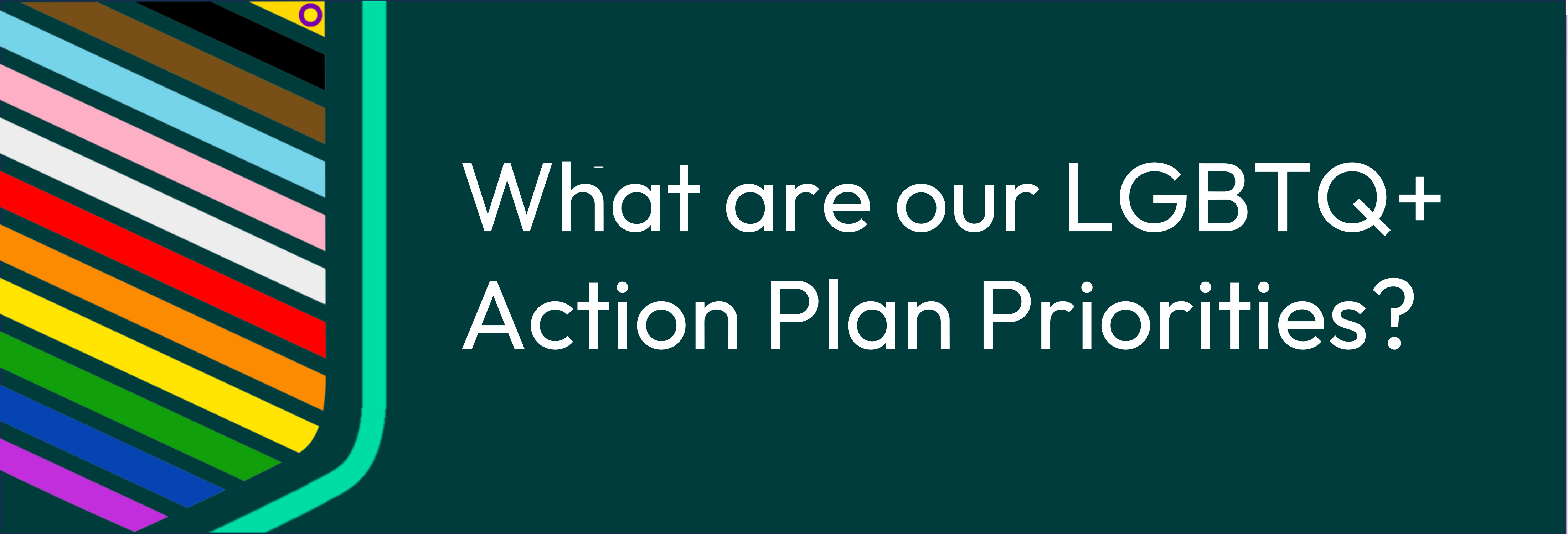 SOEG - what are our priorities banner
